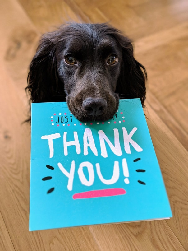 Puppy saying thank you subscribing to our life insurance tips newsletter